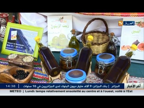 بالفيديو احتفالية عيد شجرة الزيتون للحفاظ على التراث الجزائري