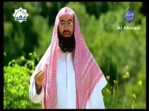 شاهد ما هو الحب الحلال والحرام