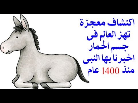 لن تصدق ماذا وجد العلماء داخل جسم الحمار