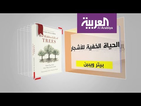 شاهد كل يوم كتاب عن الحياة الخفية للأشجار