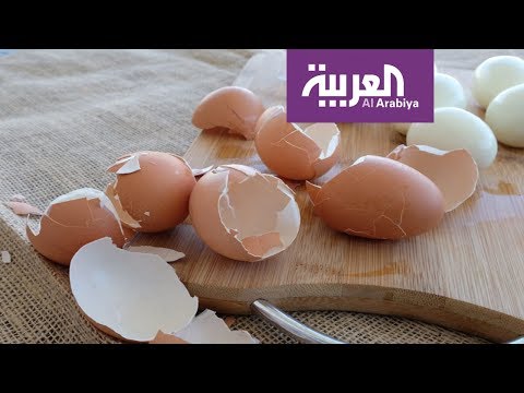 شاهد نصائح لتناول البيض وفوائده المميّزة