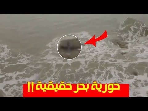 شاهد 6 مقاطع مصوّرة لحوريات بحر حقيقية