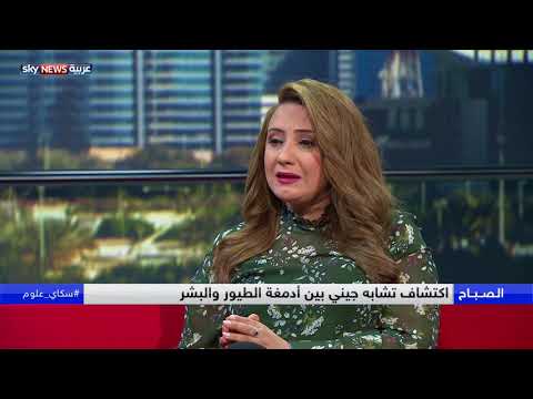 شاهداكتشاف تشابه جيني بين أدمغة الطيور والبشر