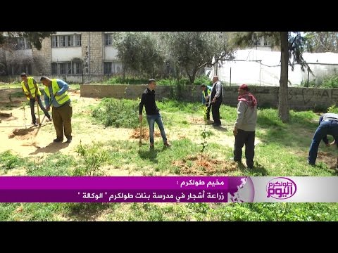 شاهد غرس أشجار في مدرسة بنات طولكرم