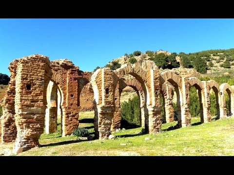 فيديو أعلام الزاوية الدلائية في إثراء الإرث الثقافي والفكري