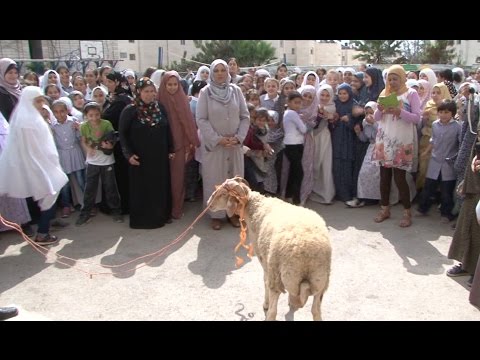 إدارة مدرسة تشتري أضحية لذبحها في غزة