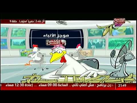 شاهد موجز أنباء مضحك عن الفراخ